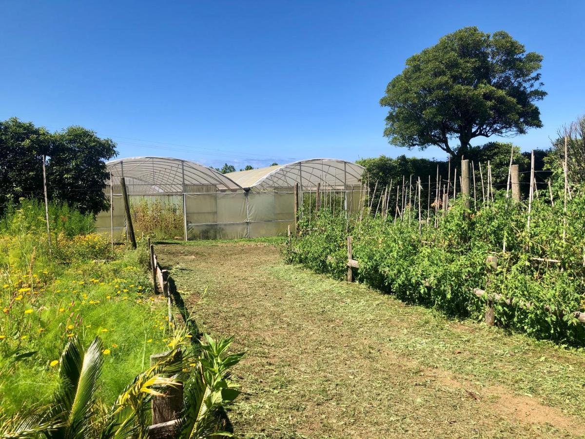 Quinta Dos Sabores Farm Houses リベイラ・グランデ エクステリア 写真